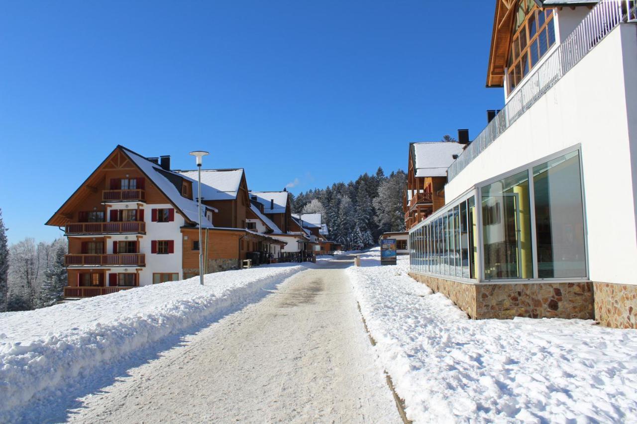 Hotel Pohorje Village Wellbeing - Forest Videc 3*