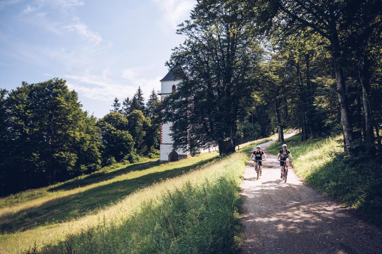 Pohorje Village Wellbeing - Forest Videc 3* Hočko Pohorje