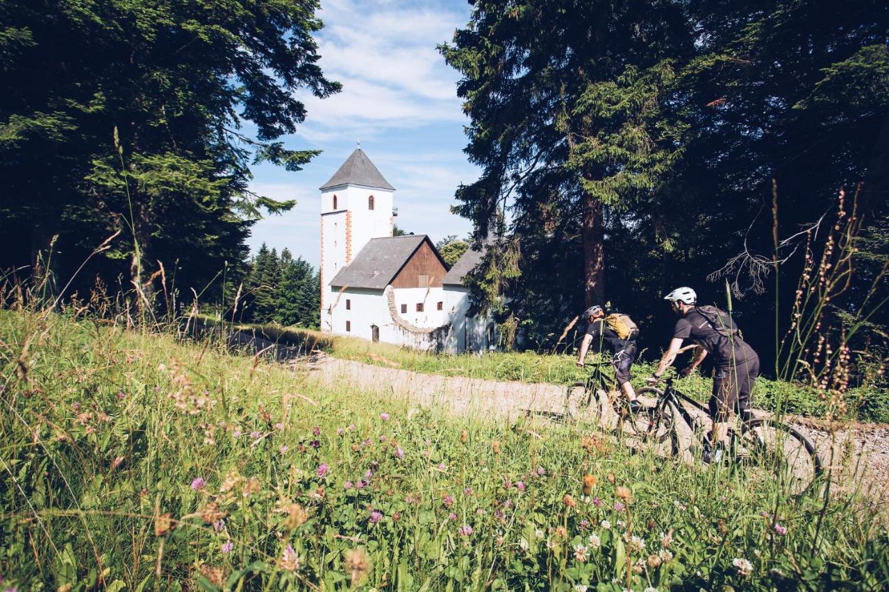 Pohorje Village Wellbeing - Forest Videc Hočko Pohorje