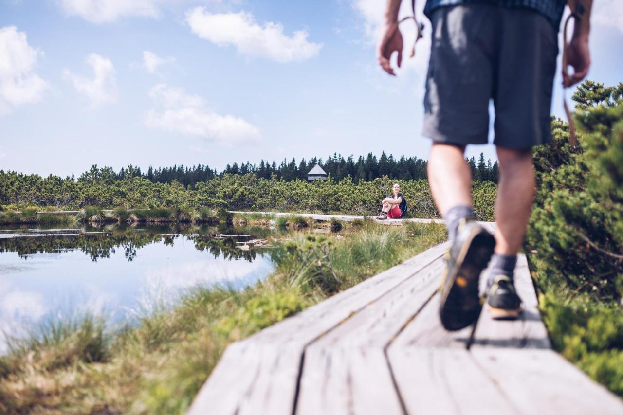 Pohorje Village Wellbeing - Forest Videc Hotel
