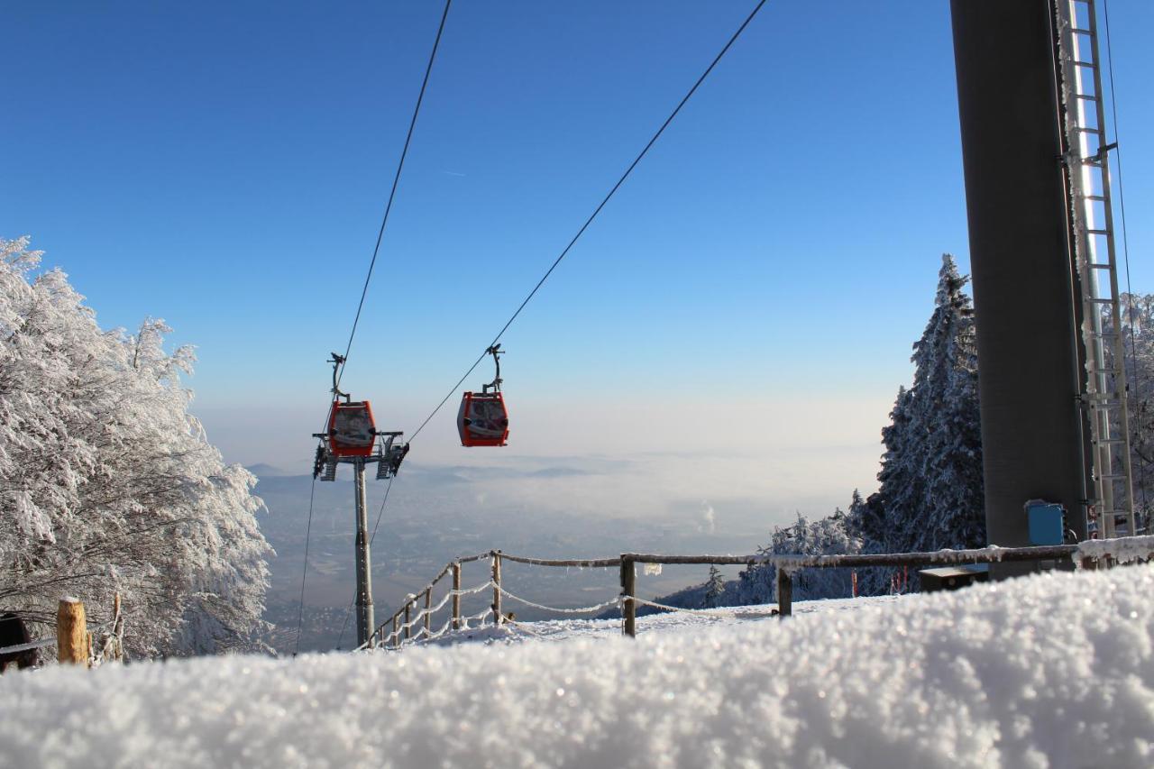Hotel Pohorje Village Wellbeing - Forest Videc 3*