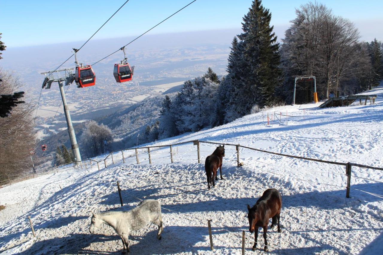 Pohorje Village Wellbeing - Forest Videc Hočko Pohorje