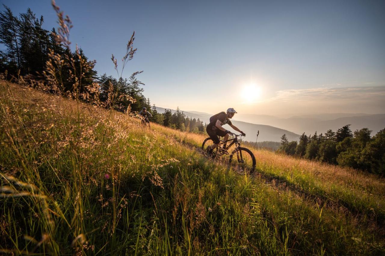 Pohorje Village Wellbeing - Forest Videc 3*